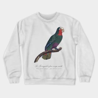 Cuban Amazon Parrot / Le Perroquet a Face Rouge Male - 19th century Jacques Barraband Illustration Crewneck Sweatshirt